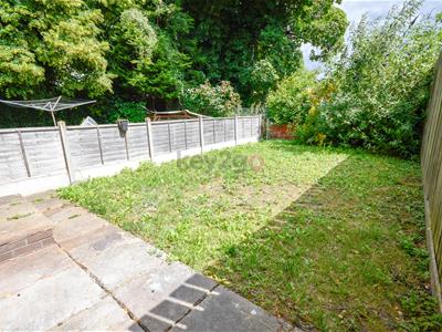 Picture 16